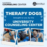 Therapy Dogs brought to you by the University Counseling Center on December 3, 2024